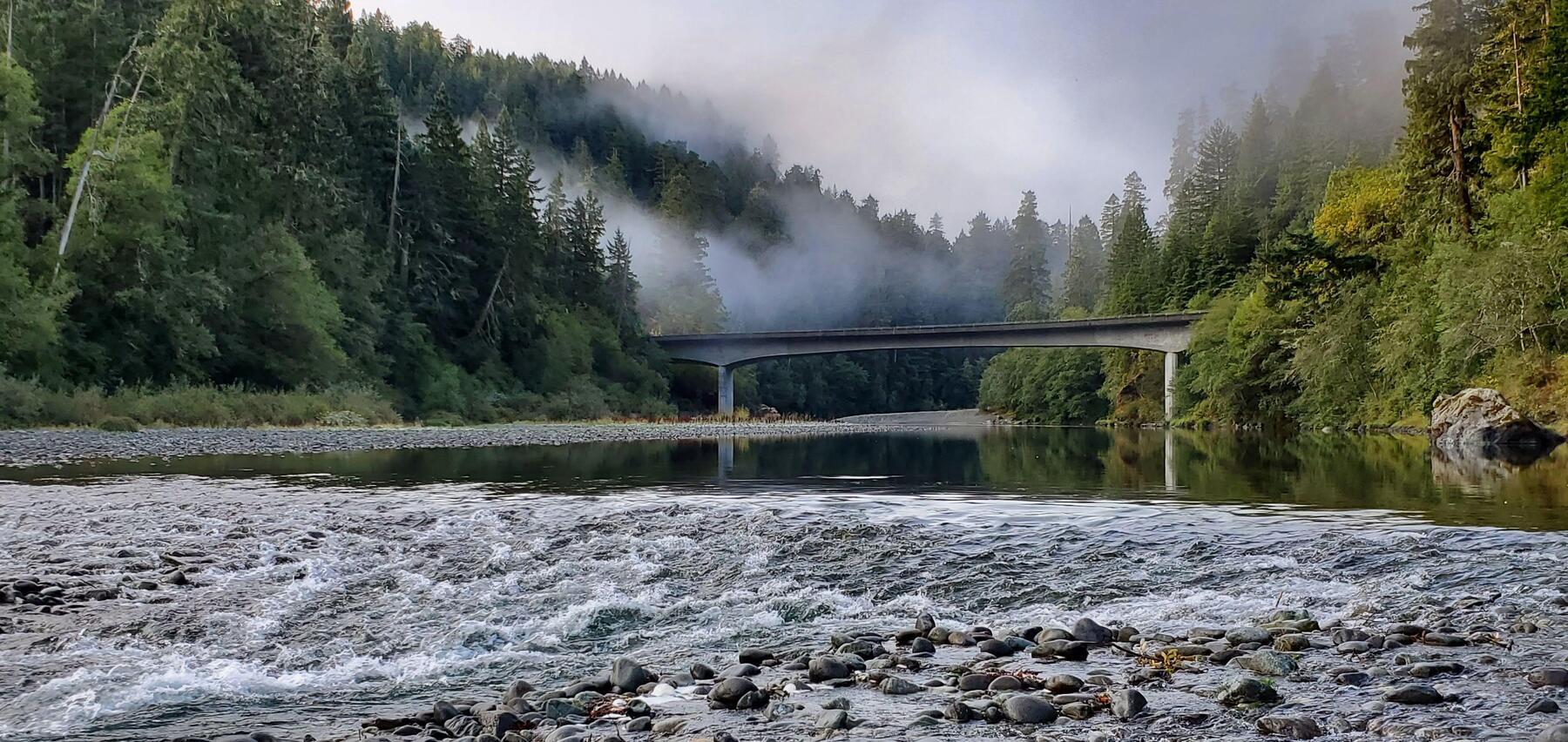 Morning fog drifting through redwoods over the Smith River, Northern California